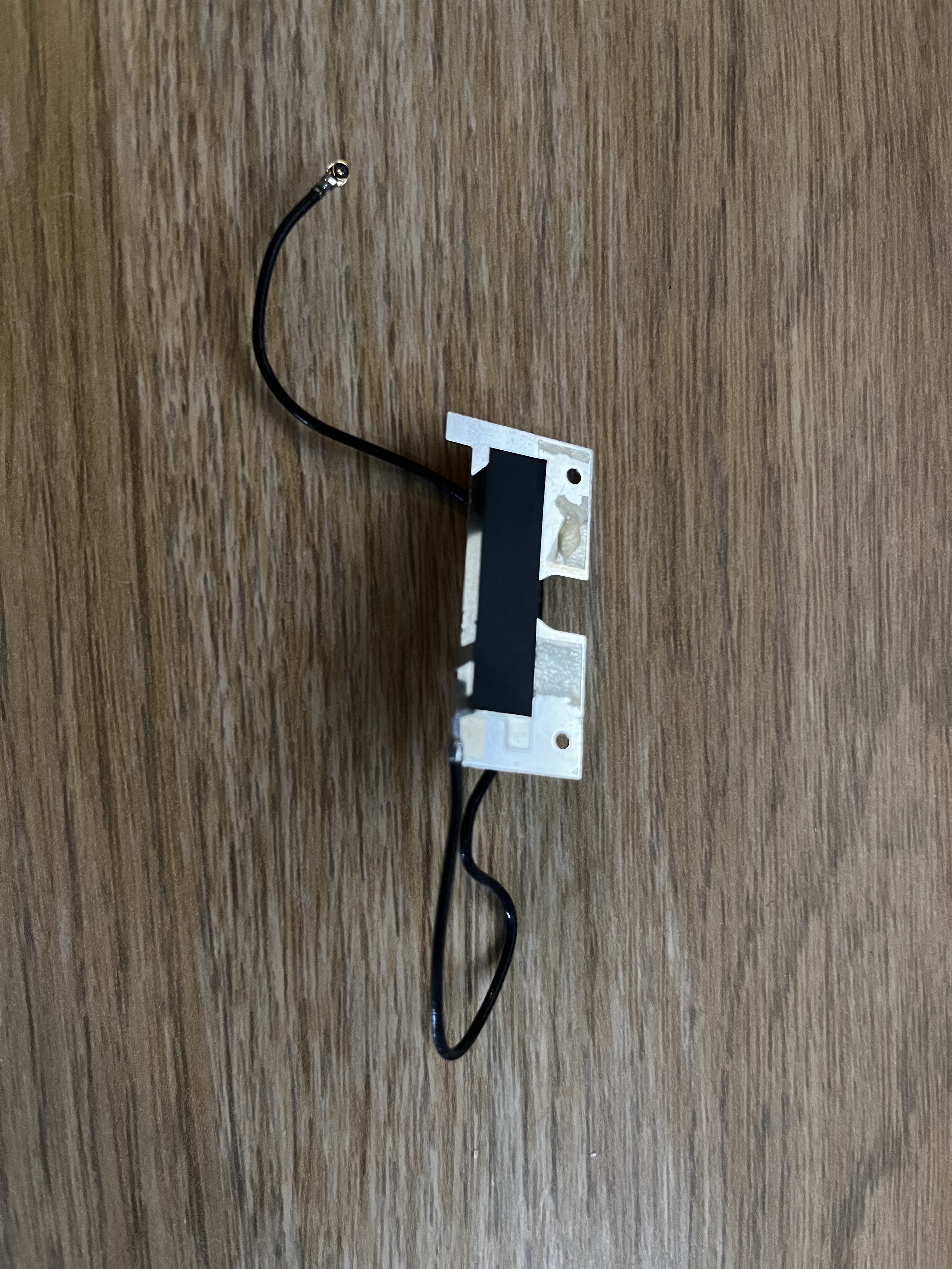 The original antenna removed from the case